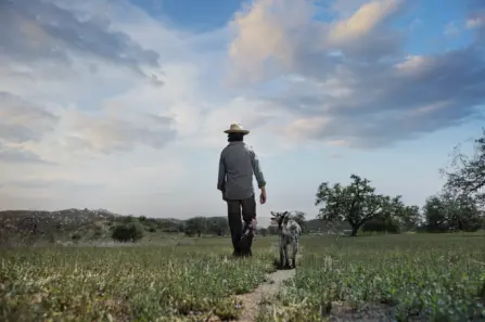 Pasture man cowboy jpg 9 17 2017 11 35 38 AM