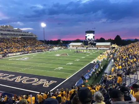 MSU Sunset