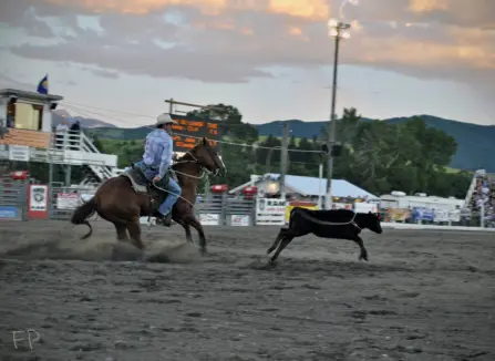 6062400657 5729a95df6 b