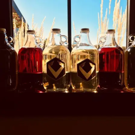 44270147 476211646203777 5089272719451619328 n