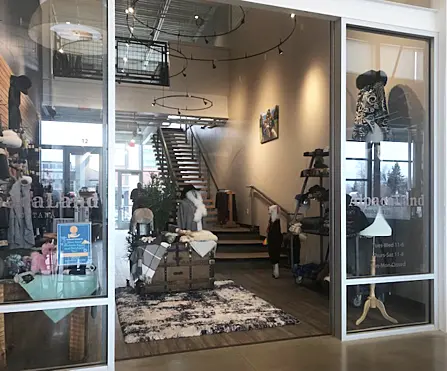 Alpaca Land The Market