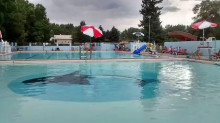 20287107 10203450742185622 3262386571844925940 o