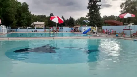 20287107 10203450742185622 3262386571844925940 o 1500 842 90