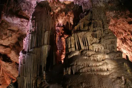 31674344 10155512703451989 2630063622167986176 o