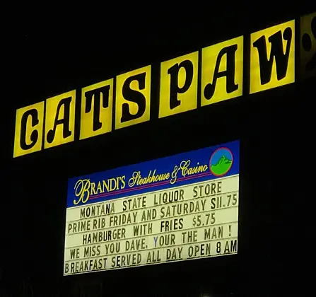 23473027 10155878155602236 7617288660783162914 n