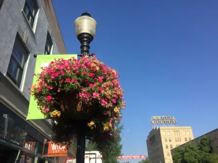 Bozeman Summer Events You Don't Want to Miss