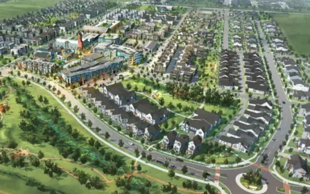 Blackwoodgrovesbozeman