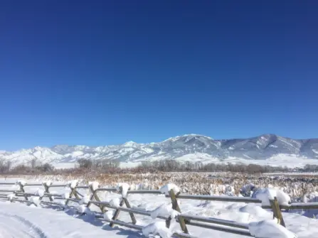 Bridgers Winter 1