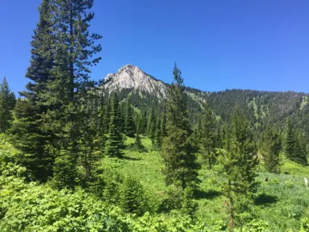 Bridgers Hiking Ross Peak 2