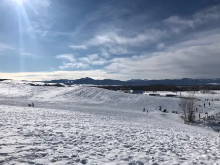 Snowfill dog park 1 1500 1125 90