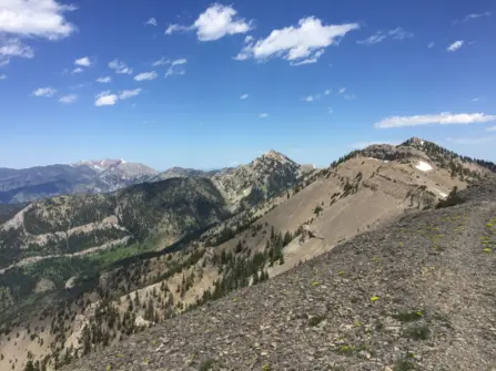 2016 06 10 12 53 01 1500 1125 90