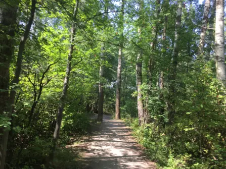 Sourdough Trail Summer