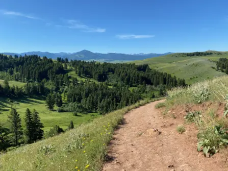 How Bozeman’s Population Has Changed Over the Last 5 Years