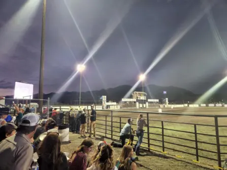 9 B264 E56 BB2 E 48 D4 BAED B84097 C07800