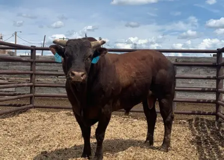 274092495 466695764921172 5611815113208129867 n