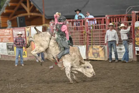 336871701 233004145845715 5223789282898964439 n