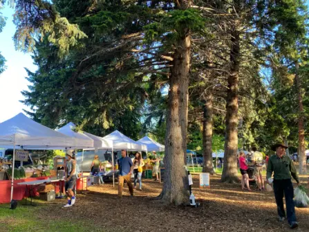 Farmers Market Lindley Park