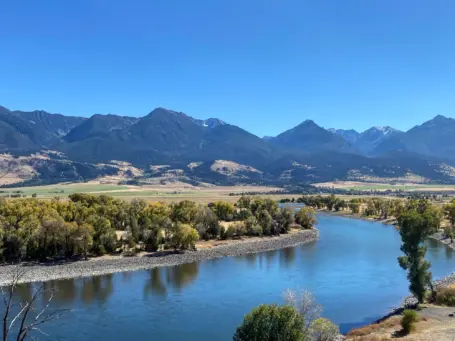 Livingston Montana Mallards Rest