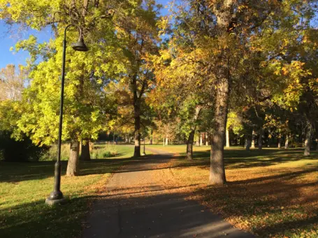 Lindley Park resized