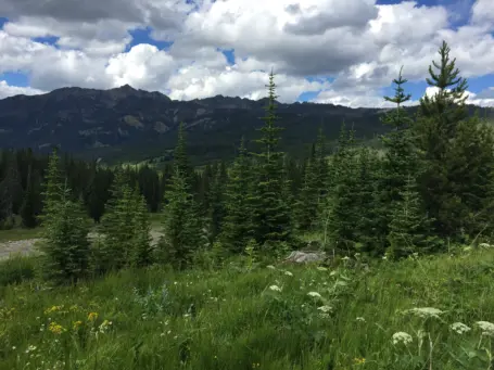 Big Sky 5