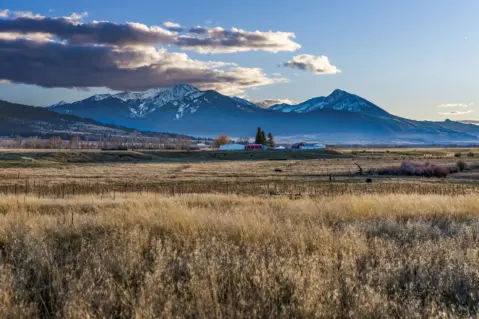 Absaroka View