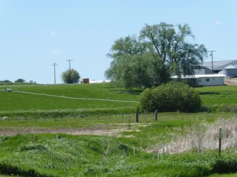 Four Dot Meadows