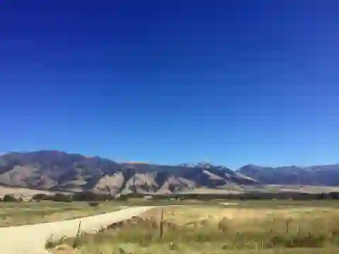 Elk Run