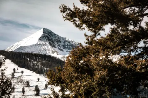 Beaver Creek Road