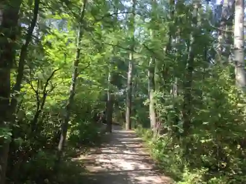 Sourdough Creek Properties