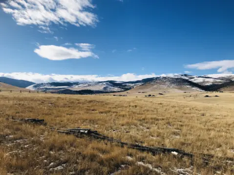 Antelope Meadows