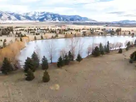 Bridger Lake Meadows