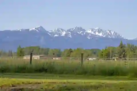 Gallatin Meadows