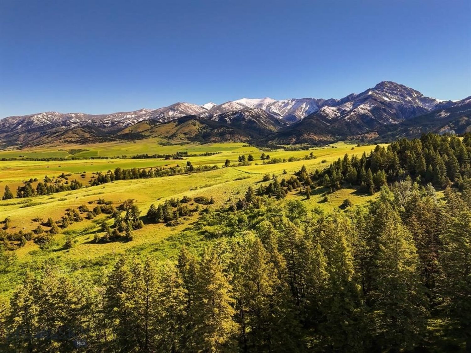 The Running Elk Ranch: Bozeman